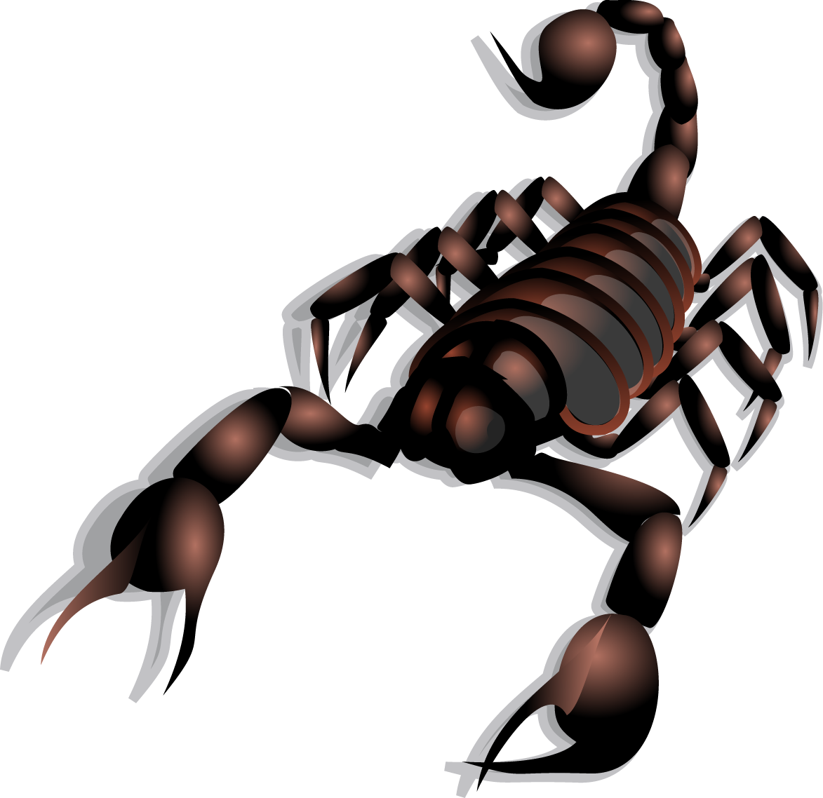 Scorpion Clip art - Vector Scorpion png download - 1173*1138 - Free