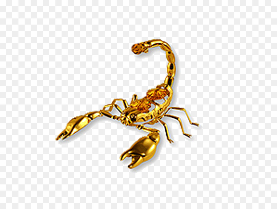 Scorpion Amulet Talisman Zodiac - Golden Lobster png download - 1892*1416 - Free Transparent Scorpion png Download.