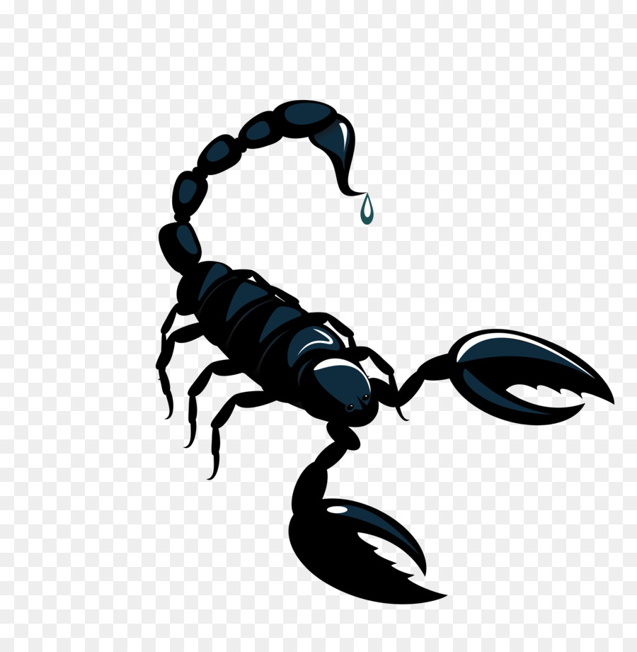 Scorpion Astrological sign Horoscope Astrology - Vector black scorpion material png download - 3563*3625 - Free Transparent Scorpion png Download.