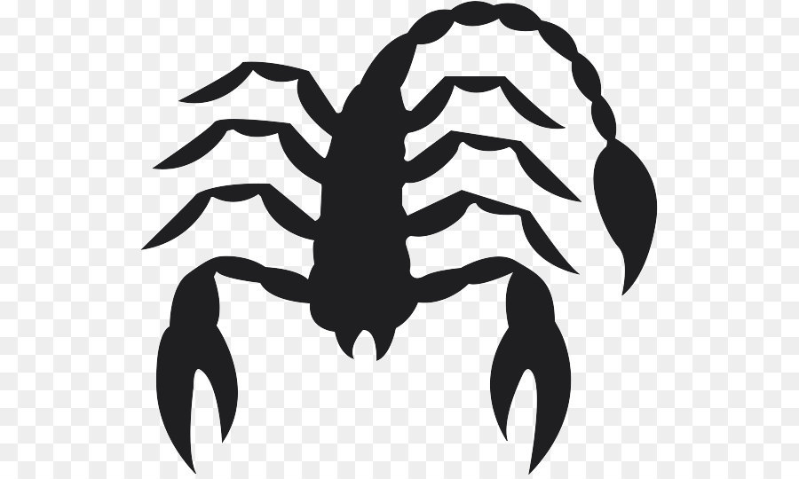 Scorpion Black and white Insect Wing Pattern - Scorpio Png Picture png download - 582*535 - Free Transparent Scorpio png Download.