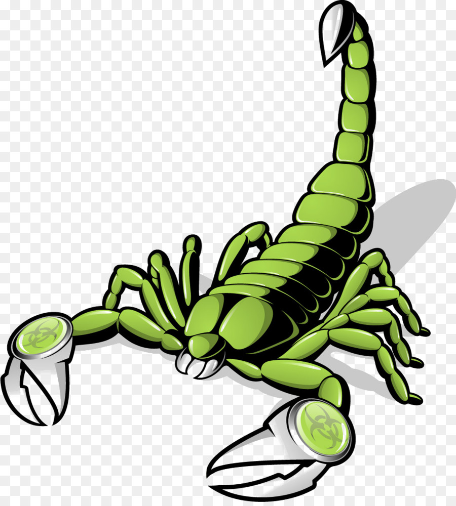 Scorpion Euclidean vector Clip art - Scorpions png download - 1081*1191 - Free Transparent Scorpion png Download.