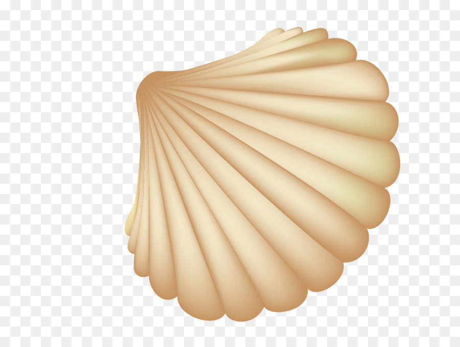 Clip Arts Related To : Seashell Beach Clip art - sea shells png download - ...