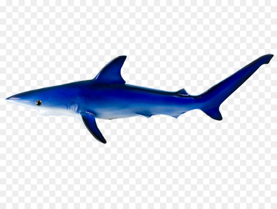 Clip art Requiem sharks Image Portable Network Graphics Desktop Wallpaper - large mouth bass png download - 2160*1624 - Free Transparent Requiem Sharks png Download.