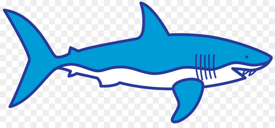 Clip art Shark finning Portable Network Graphics Dorsal fin - shark drawing png clip art png download - 998*452 - Free Transparent Shark png Download.
