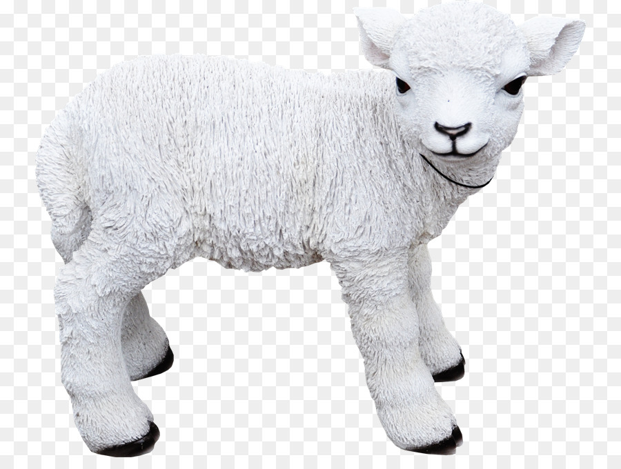 Sheep Goat Cattle Animal - Oveja png download - 800*663 - Free Transparent Sheep png Download.