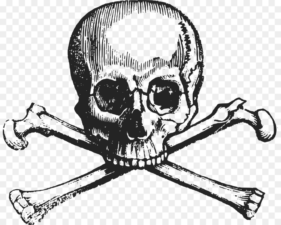 Skull and crossbones Skull and Bones Drawing - skull png download - 881*720 - Free Transparent Skull And Crossbones png Download.
