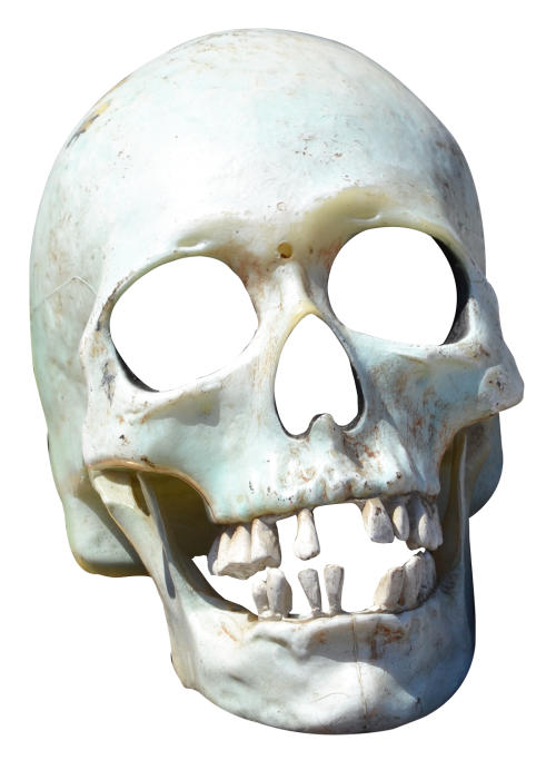 Portable Network Graphics Transparency Clip Art Skull Image Skull Png