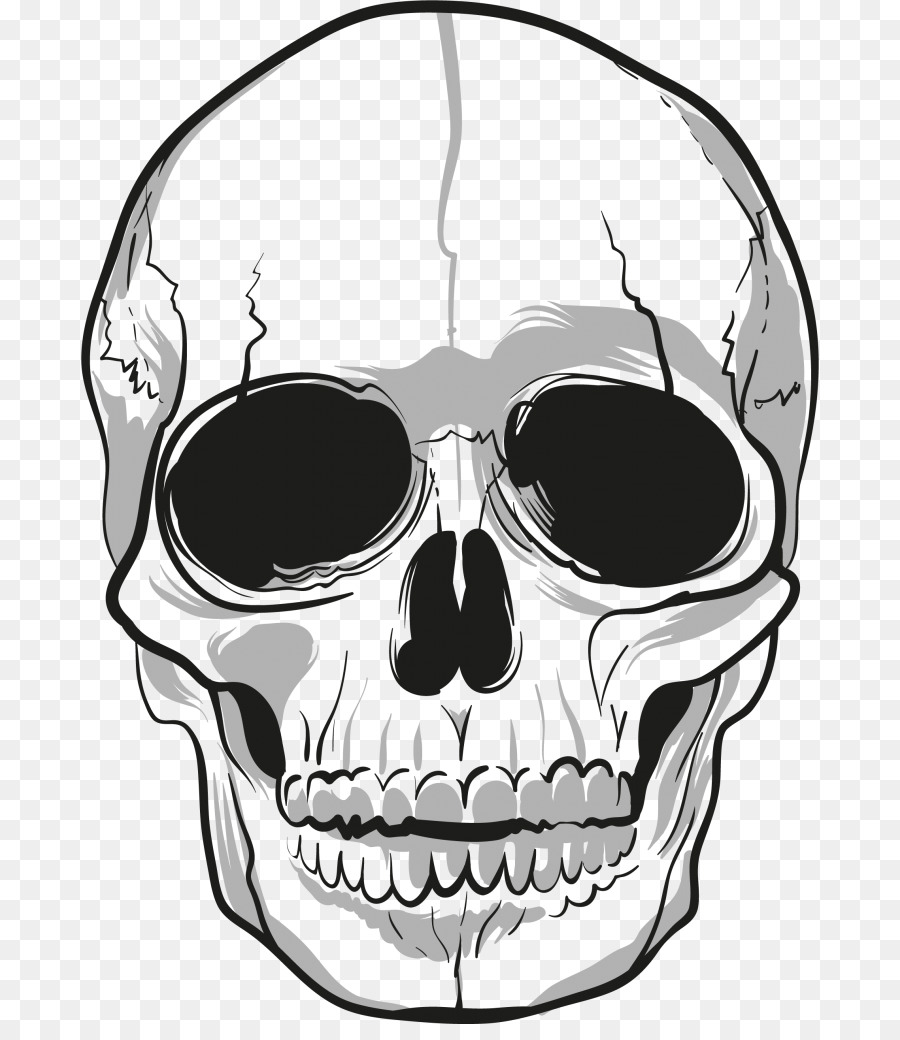 Skull Bone Clip art - skull png download - 738*1024 - Free Transparent Skull png Download.