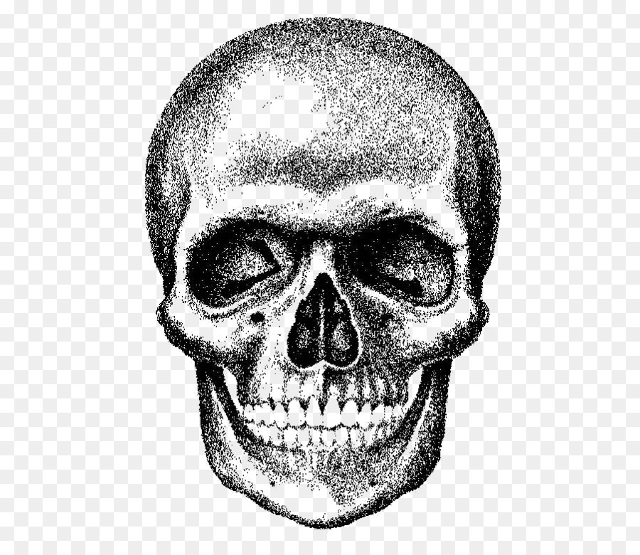 Skull Royalty-free - skull png download - 568*765 - Free Transparent Skull png Download.