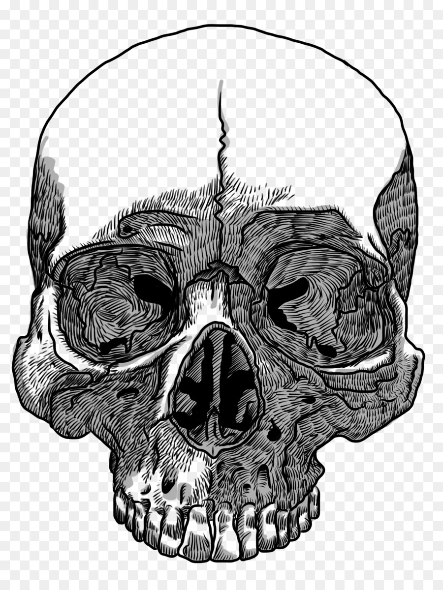 Skull Drawing Transparency and translucency Clip art - skull png download - 1536*2048 - Free Transparent Skull png Download.