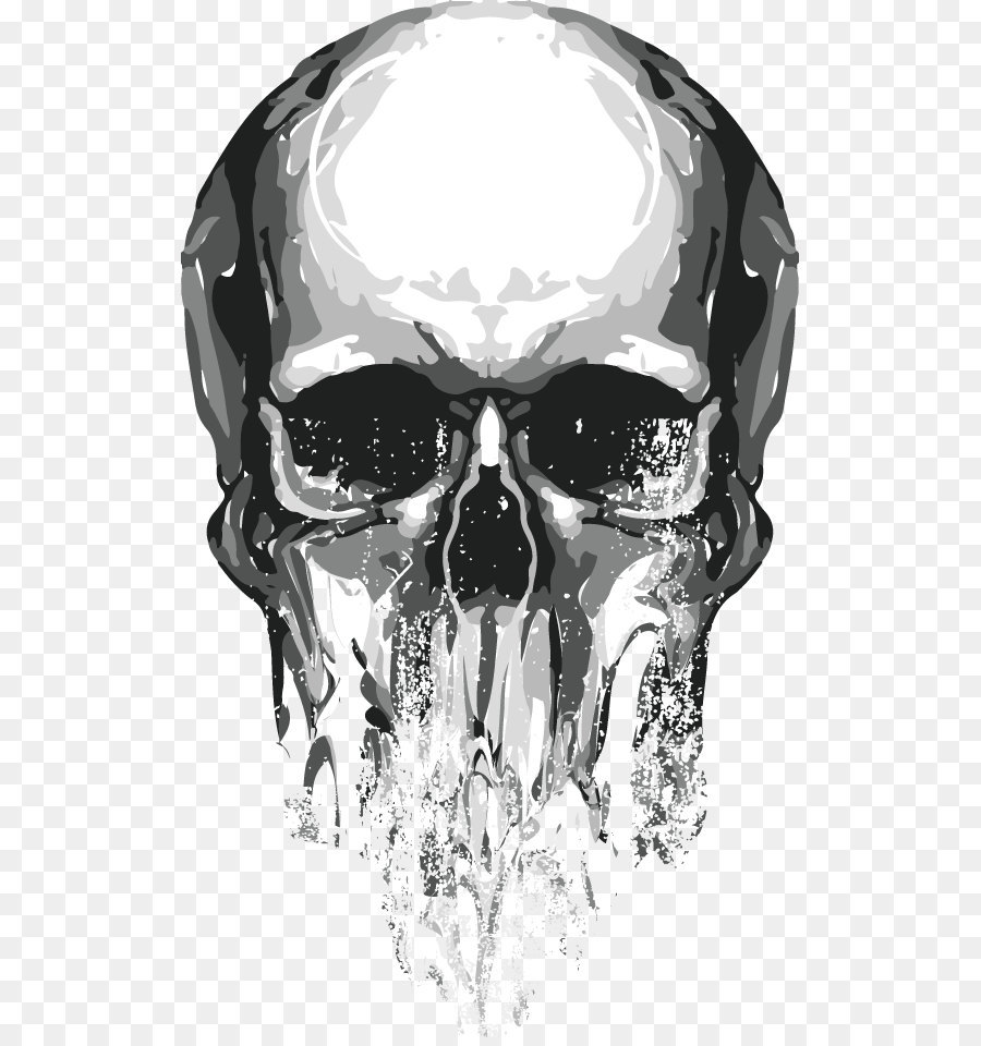 Skull Euclidean vector - Skull png download - 567*952 - Free Transparent T Shirt png Download.
