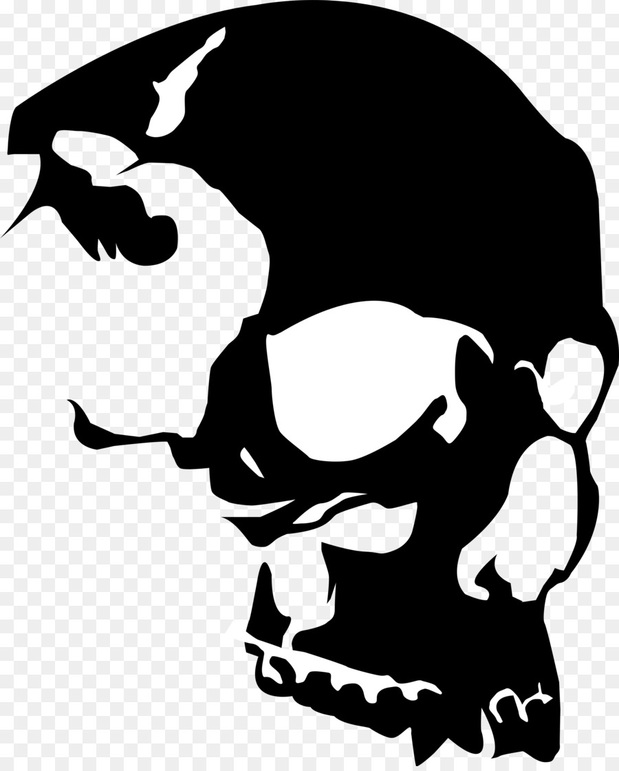 Skull Royalty-free Clip art - Transparent Skull Cliparts png download - 3103*3838 - Free Transparent Skull png Download.