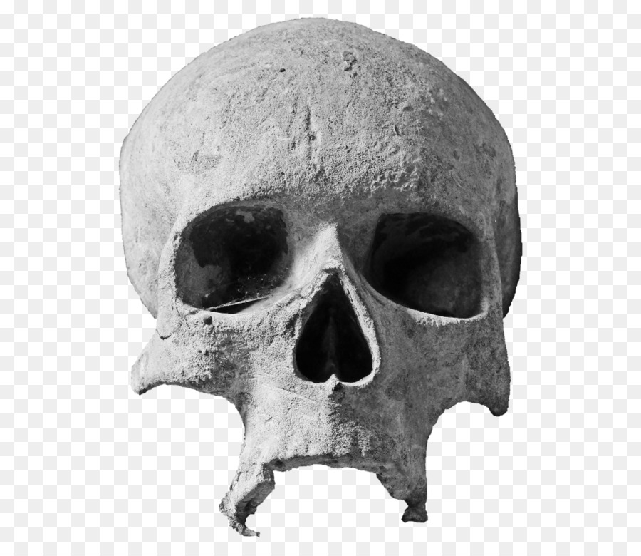 Skull Drawing Church - skulls png download - 1024*886 - Free Transparent Skull png Download.