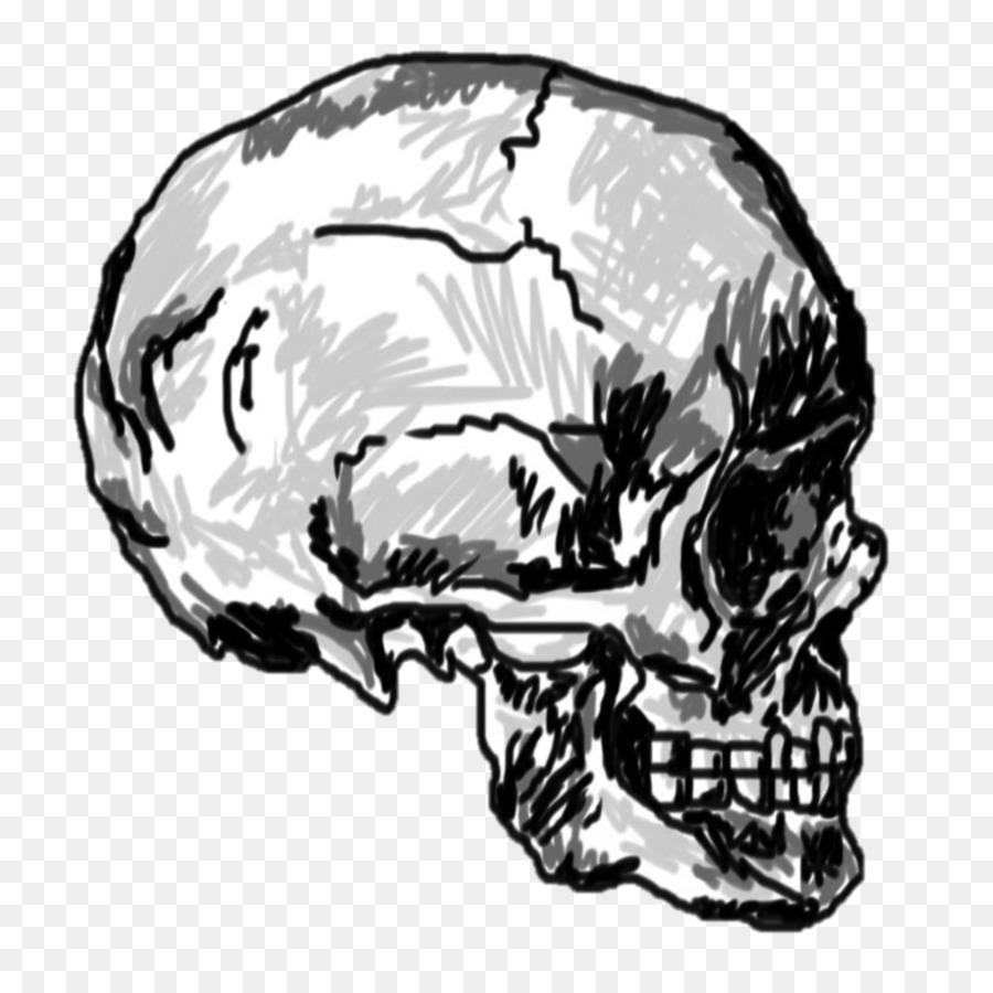 Skull Drawing Calavera Skeleton - skulls png download - 894*894 - Free Transparent Skull png Download.