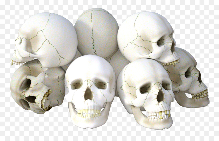Skull Icon - Skull png download - 1650*1028 - Free Transparent Skull png Download.