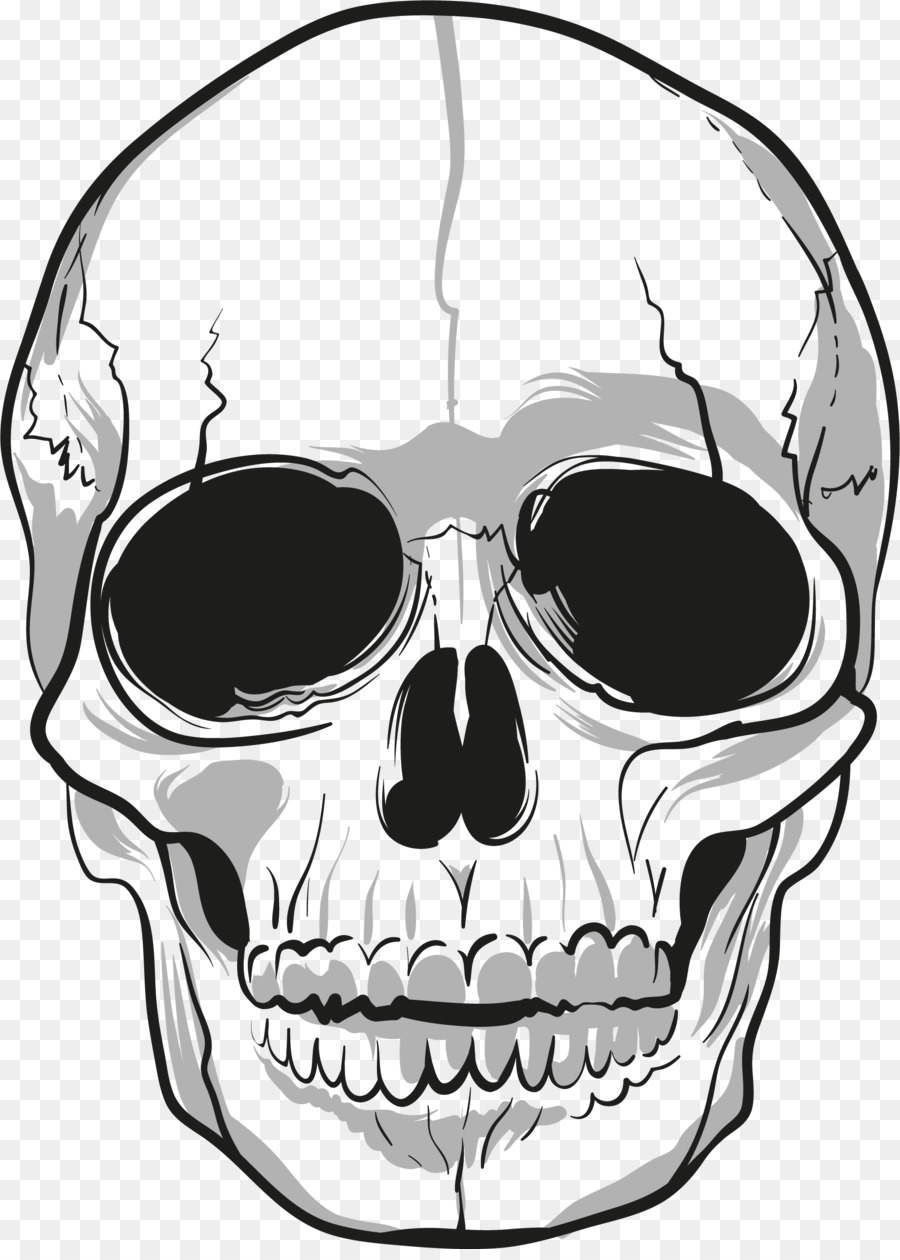 Skull Drawing Bone - skulls png download - 1867*2592 - Free Transparent Skull png Download.
