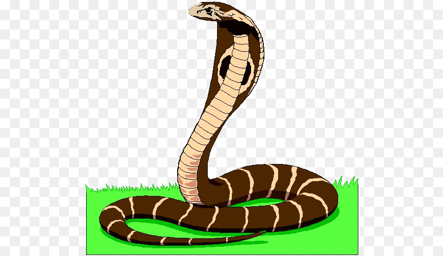 Snake Animated film Clip art - snake png download - 560*519 - Free Transparent Snake png Download.