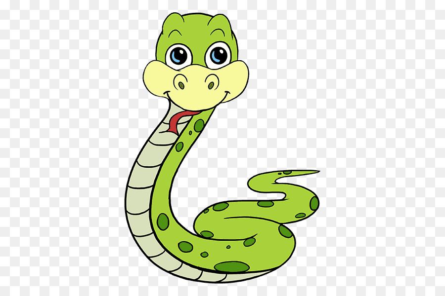 Snake Cartoon Drawing - snakes png download - 678*600 - Free Transparent Snake png Download.