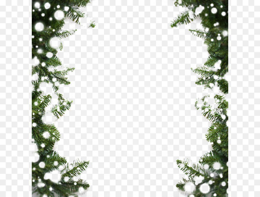 Snow MIME - Beautiful pine snowflake border Snow png download - 680*680 - Free Transparent Snowflake png Download.