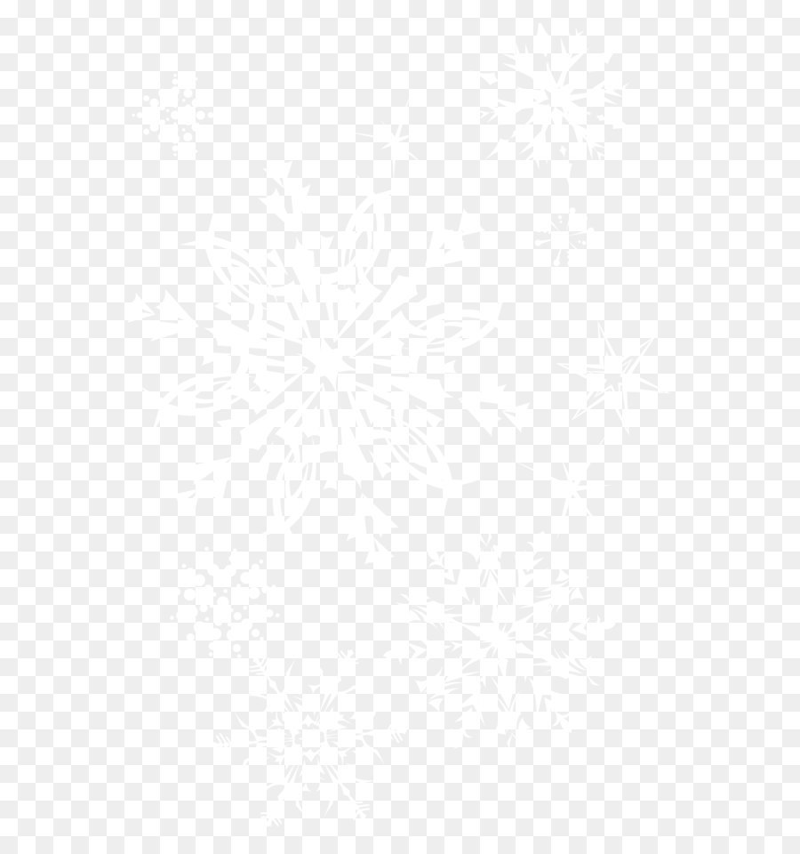 Line Symmetry Black and white Point Pattern - Transparent Snowflakes Picture png download - 2734*4033 - Free Transparent Black And White png Download.