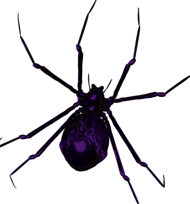 purple widow spider