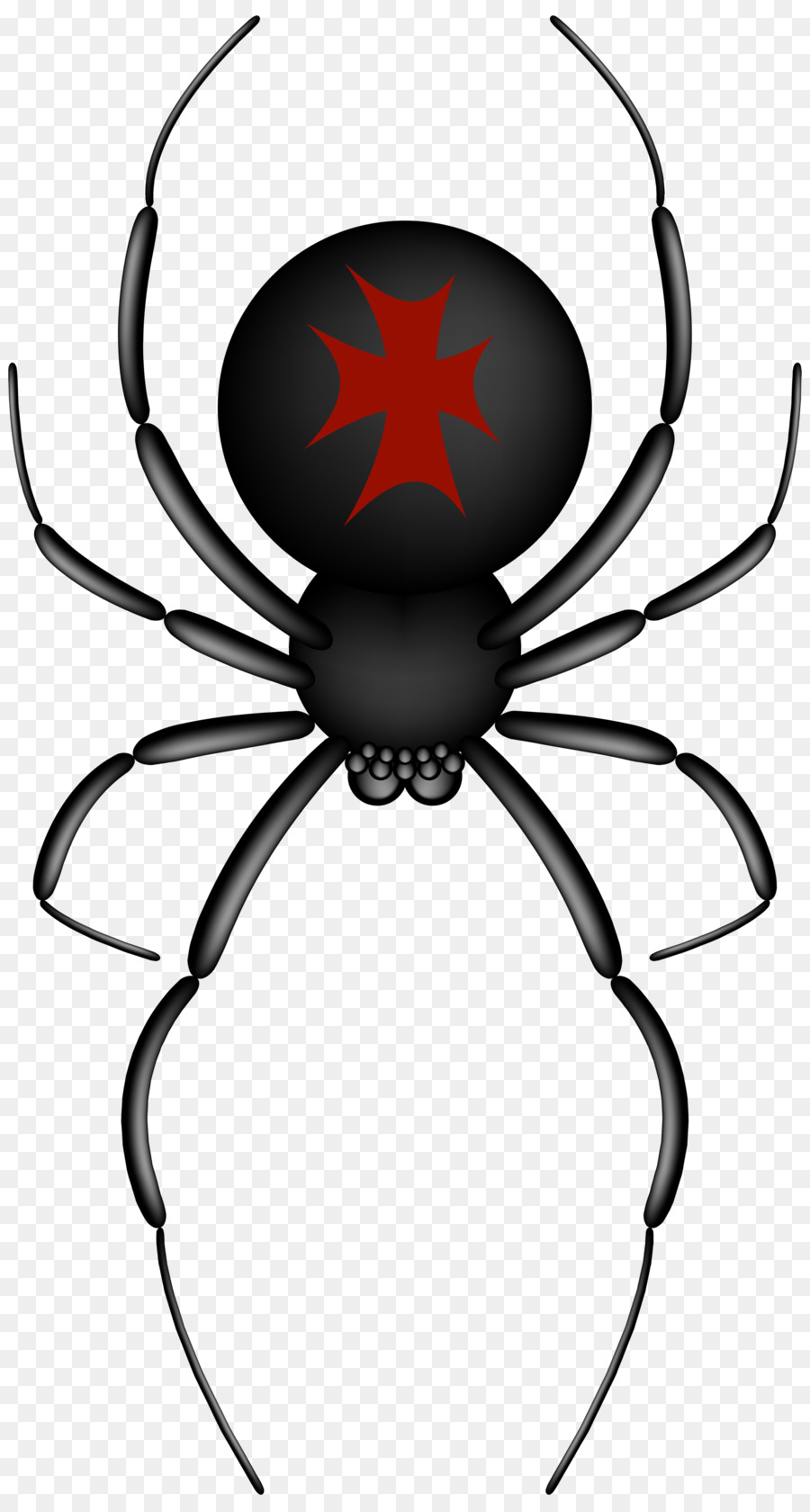 Insects & Spiders Spider web Clip art - spider png download - 4292*8000 - Free Transparent Spider png Download.
