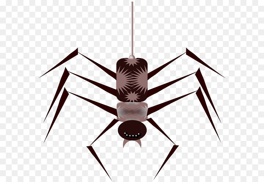 Spider web Cartoon Clip art - Cartoon Bug png download - 640*618 - Free Transparent Spider png Download.