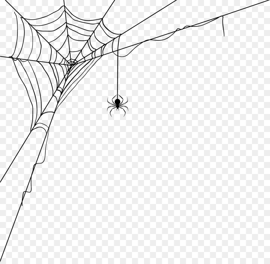 Spider web World Wide Web Spider silk - Spider web decoration pattern png download - 1501*1457 - Free Transparent Spider png Download.