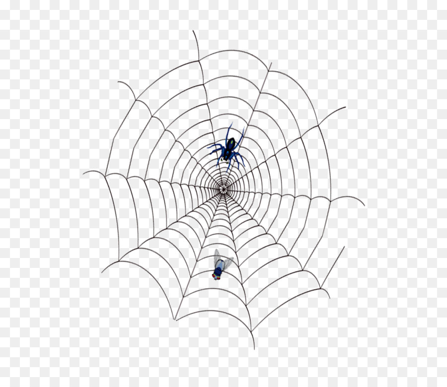 Spider web - spider,cobweb png download - 696*772 - Free Transparent Spider png Download.