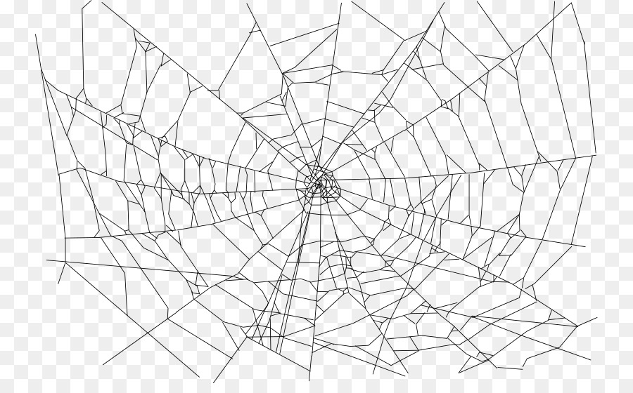 Spider web Windows Metafile Clip art - spider web png download - 800*546 - Free Transparent Spider png Download.