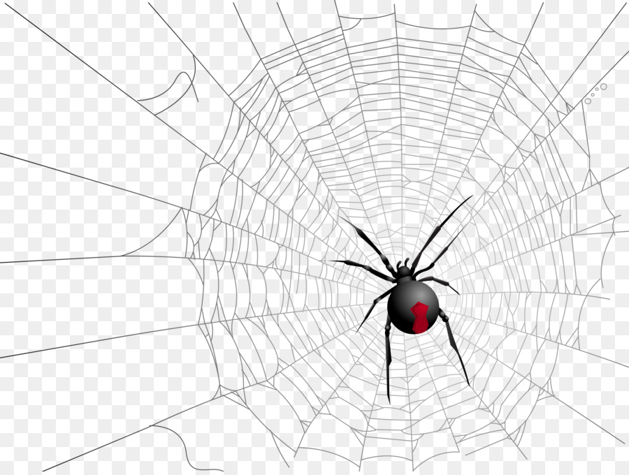 Widow spiders Halloween Spider web - Spider web spider png download - 4999*3750 - Free Transparent Widow Spiders png Download.