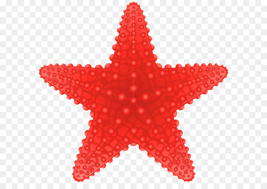 Starfish Clip art - Starfish Transparent PNG Clip Art Image png download - 6000*5741 - Free Transparent Starfish png Download.