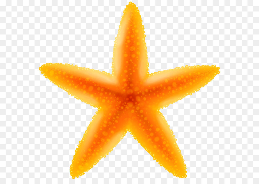 Clip art - Starfish Transparent PNG Image png download - 8000*7795 - Free Transparent Starfish png Download.