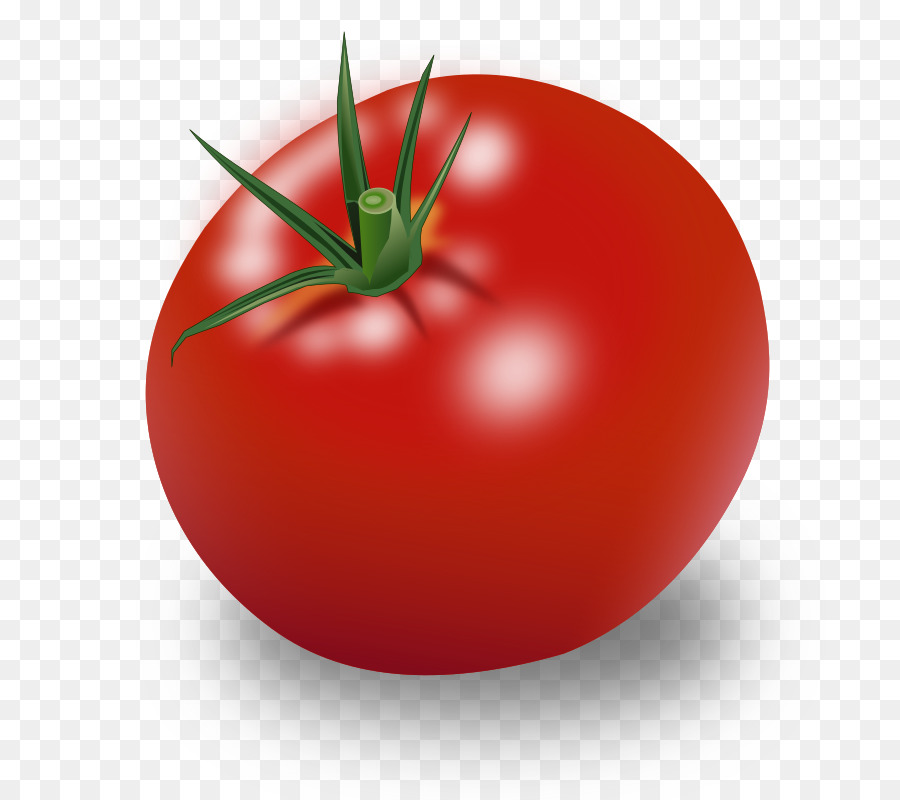 Cherry tomato Vegetable Clip art - tomato png download - 858*800 - Free Transparent Cherry Tomato png Download.