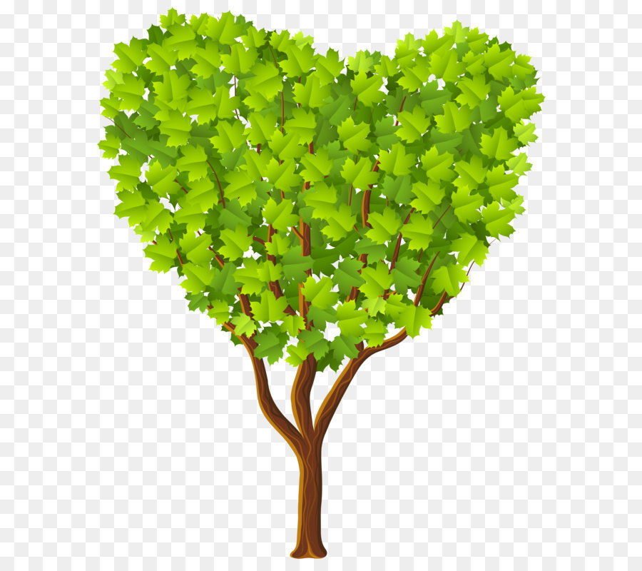 Heart Tree Clip art - Green Heart Tree Transparent PNG Image png download - 6589*8000 - Free Transparent Tree png Download.
