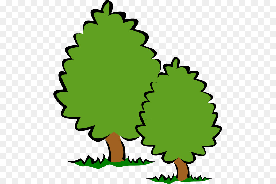 Tree Clip art - Transparent Tree Cliparts png download - 551*600 - Free Transparent Tree png Download.