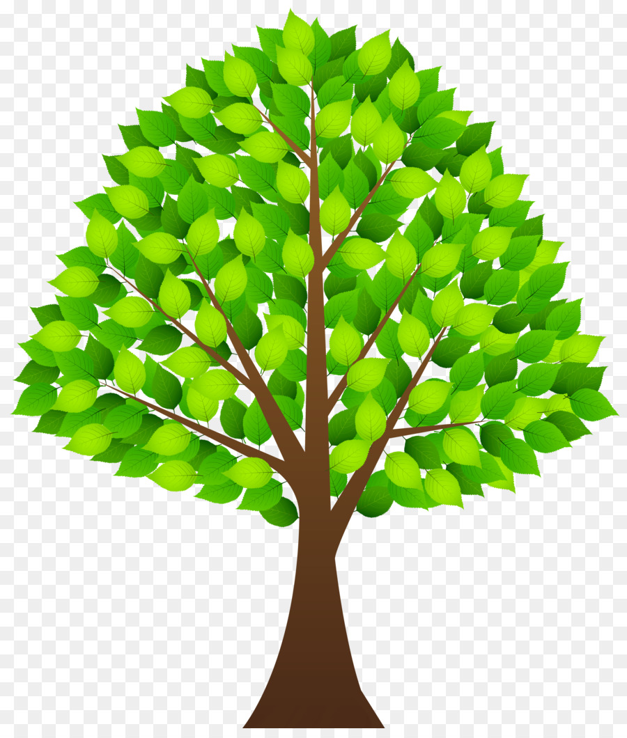 Tree Clip art - Transparent Tree Cliparts png download - 4303*5000 - Free Transparent Tree png Download.