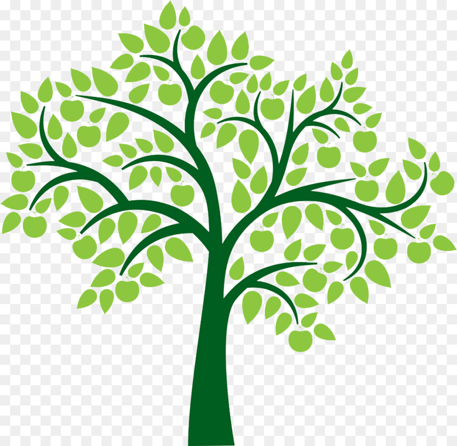 Tree Clip art - family tree png download - 1300*1271 - Free Transparent Tree png Download.