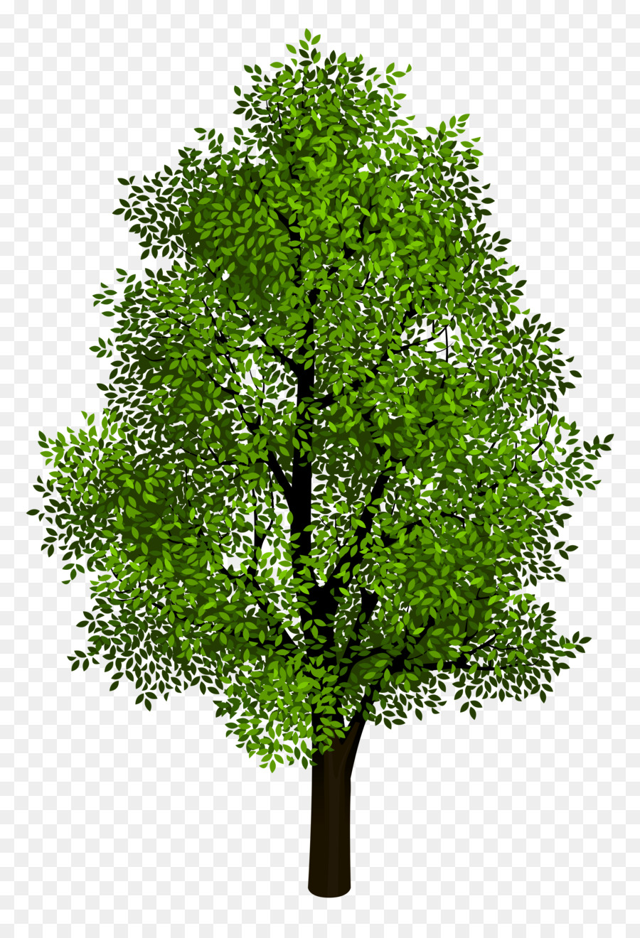 Tree Clip art - Transparent Tree Cliparts png download - 3677*5312 - Free Transparent Tree png Download.