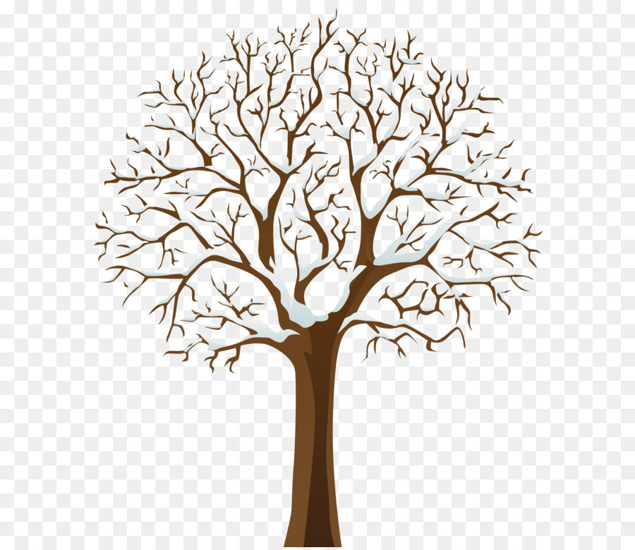 Tree Winter Clip art - Snowy Winter Tree Transparent PNG Image png download - 6700*8000 - Free Transparent Tree png Download.