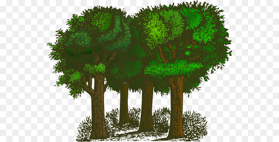 Tree Forest Clip art - Transparent Tree Cliparts png download - 600*459 - Free Transparent Tree png Download.
