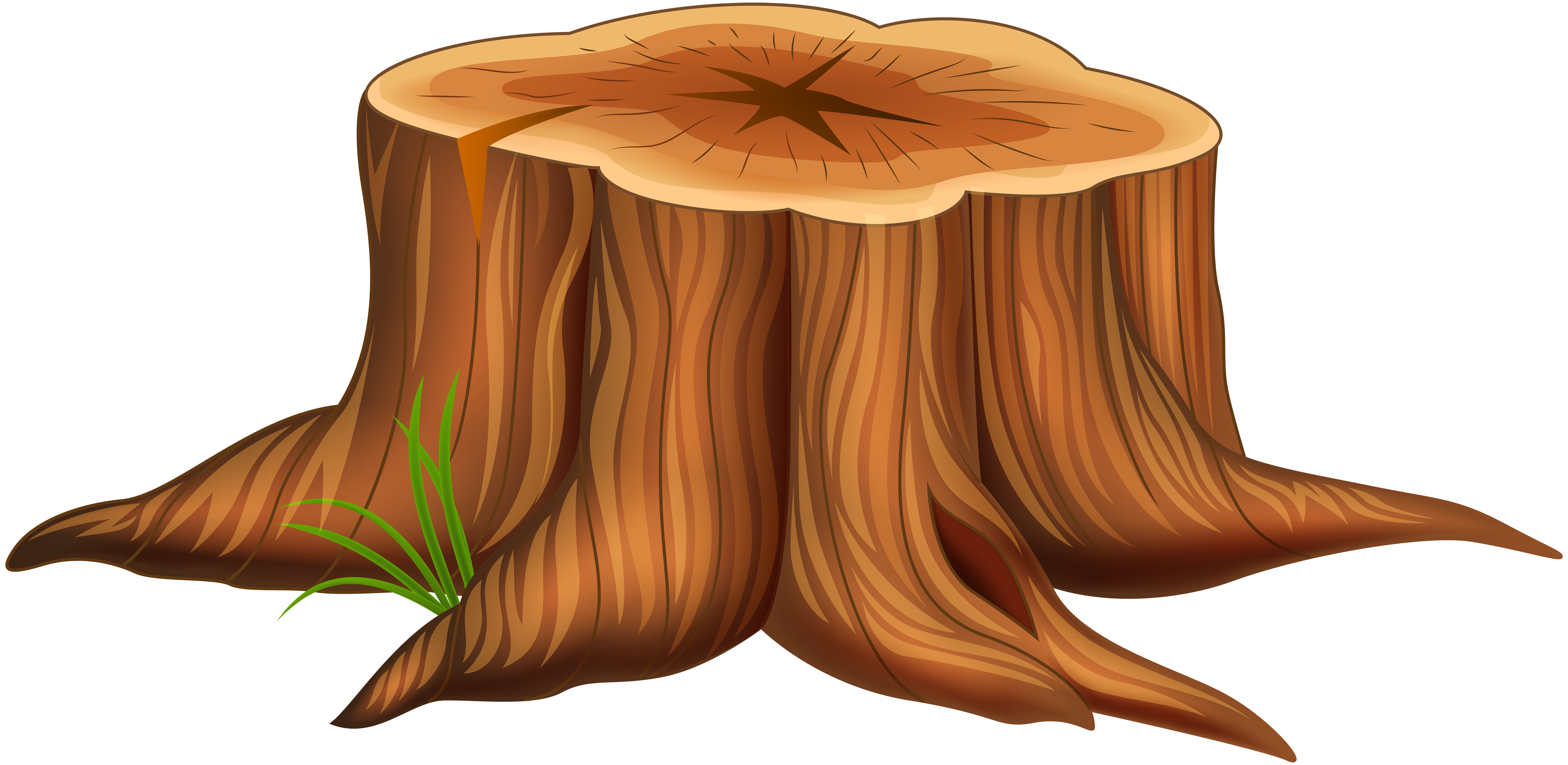 Tree stump Cartoon Illustration - Tree Stump PNG Clip Art Image png
