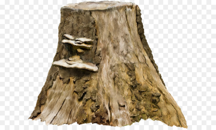 Tree stump Photography Clip art - Old tree stump png download - 670*536 - Free Transparent Tree Stump png Download.