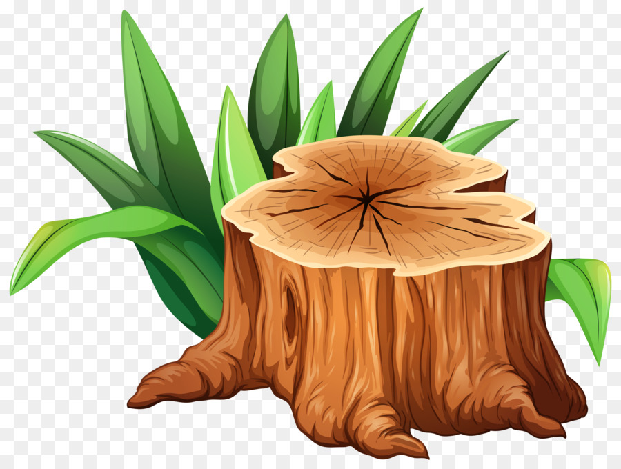 Tree stump Trunk Clip art - stump png download - 4000*3009 - Free Transparent Tree Stump png Download.
