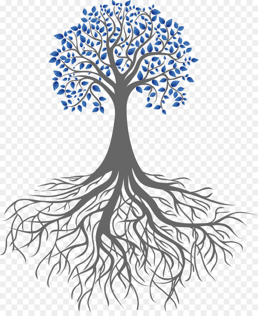 Root Portable Network Graphics Clip art Tree Branch - tree png download - 1562*1889 - Free Transparent Root png Download.