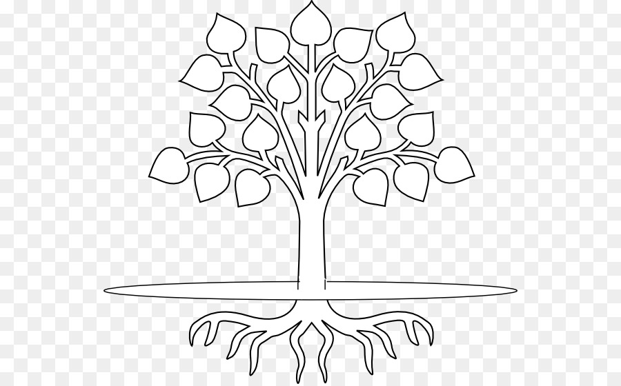 Tree Root Branch Drawing Clip art - roots clipart png download - 600*557 - Free Transparent Tree png Download.