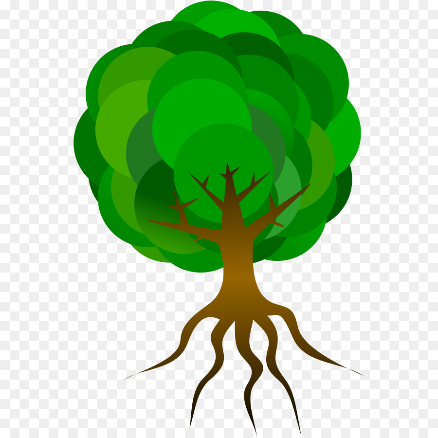 Tree Root Clip art - Free Tree Vector Art png download - 599*900 - Free Transparent Tree png Download.