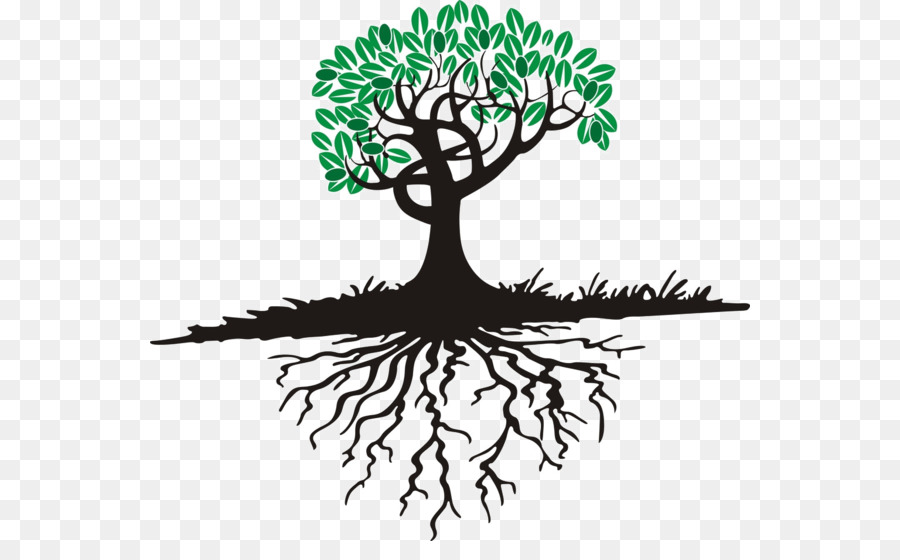 Tree Root Clip art - tree png download - 600*541 - Free Transparent Tree png Download.