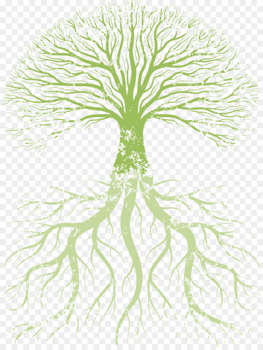 Family tree Root Tree of life - root png download - 1424*1897 - Free Transparent Tree png Download.