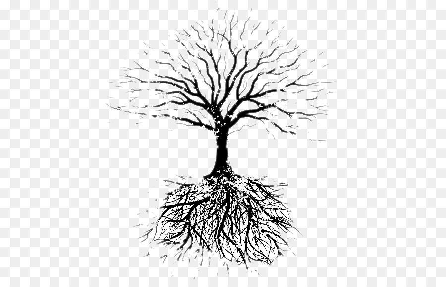 Fruit tree Root Drawing Faribault Evangelical Free Church - tree png download - 480*566 - Free Transparent Tree png Download.
